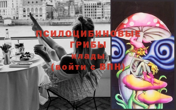 гидропоника Магас