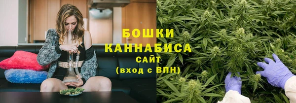 гидропоника Магас